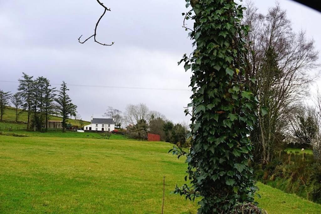 Meenadreen Cottage Donegal Town Exteriér fotografie